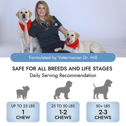 Pet Vet Products® Dog Calming Chews – Beef Liver Soft Chews for Stress, Relaxation & Anxious Behavior Support, 60 Count