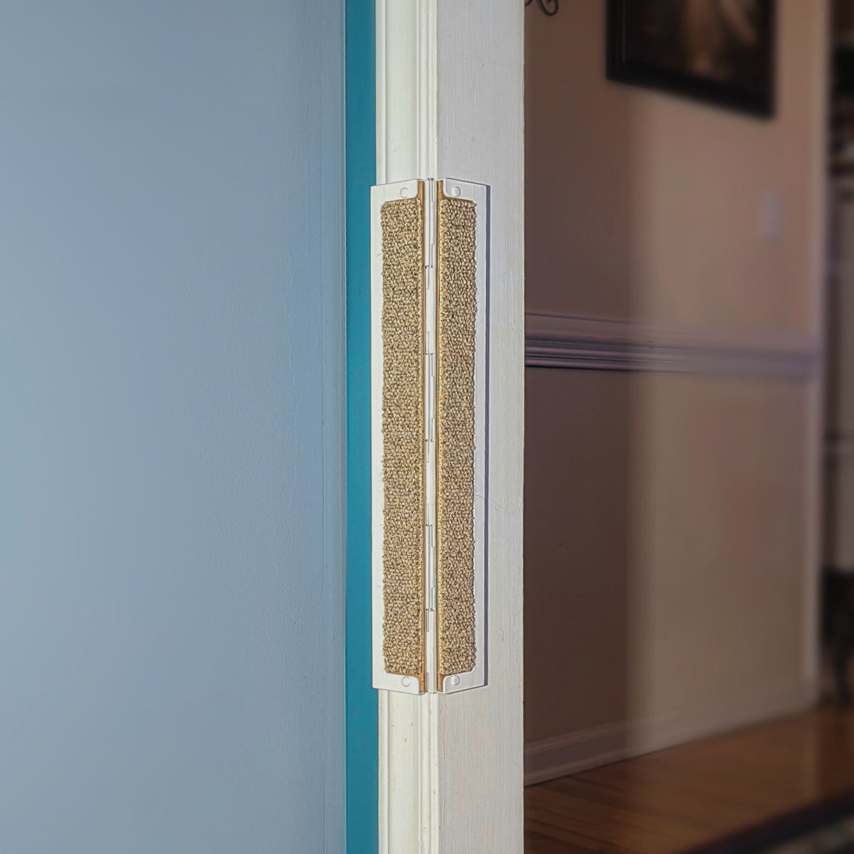 Jack's Scratcher — Refillable Door Frame Cat Scratcher Starter Kit