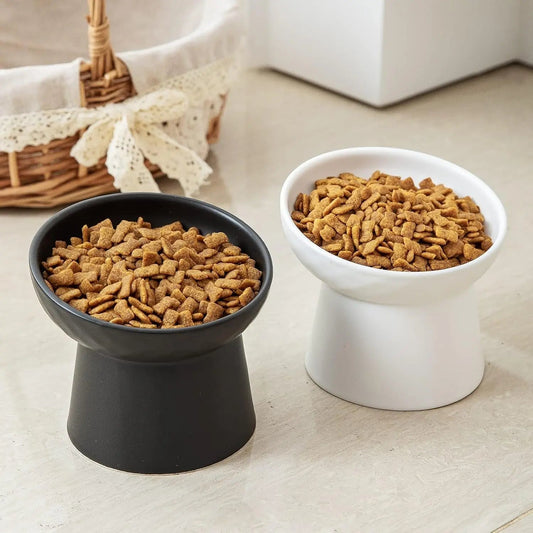 Ceramic Raised Tilted Cat Bowls Set of 2, Elevated Porcelain Feeder