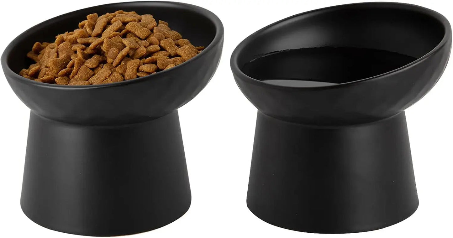 Ceramic Raised Tilted Cat Bowls Set of 2, Elevated Porcelain Feeder