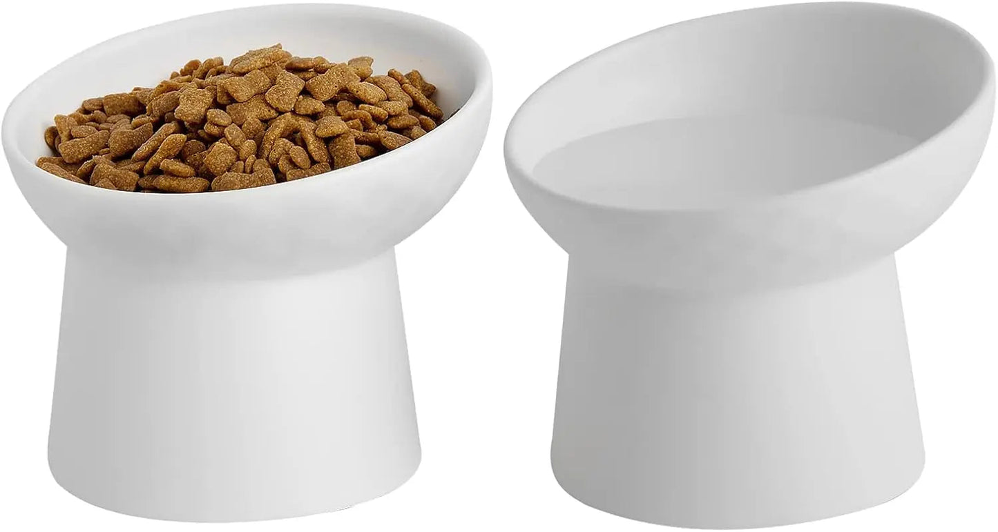 Ceramic Raised Tilted Cat Bowls Set of 2, Elevated Porcelain Feeder