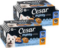 Cesar Puppy Classic Wet Dog Food Chicken & Beef or Variety Pack 3.5oz 24ct