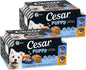 Cesar Puppy Classic Wet Dog Food Chicken & Beef or Variety Pack 3.5oz 24ct