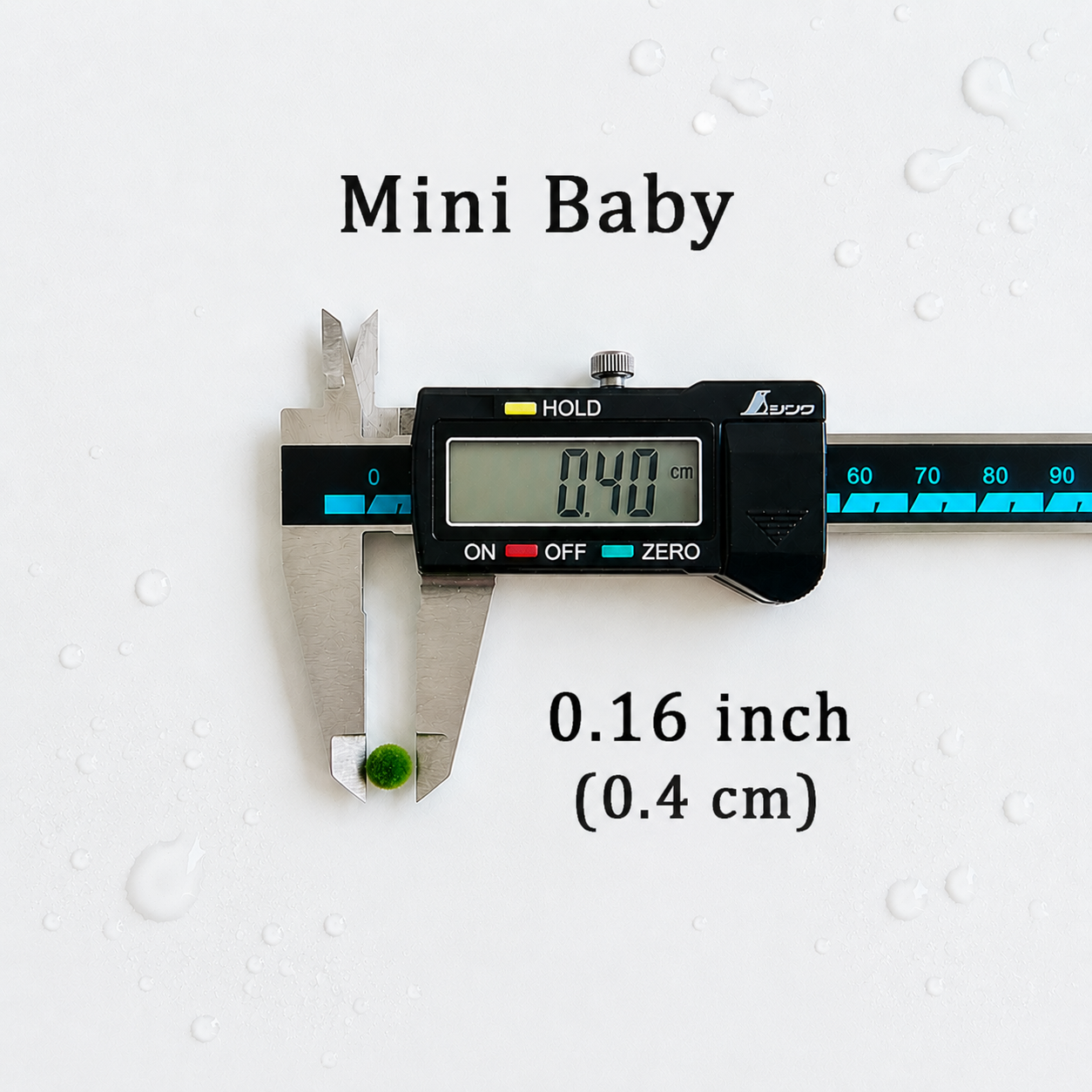 Live Moss Balls Mini Baby 0.3-0.5cm 5/10/20/50PCS Marimo Moss Balls Aqua Plant Pet Petco