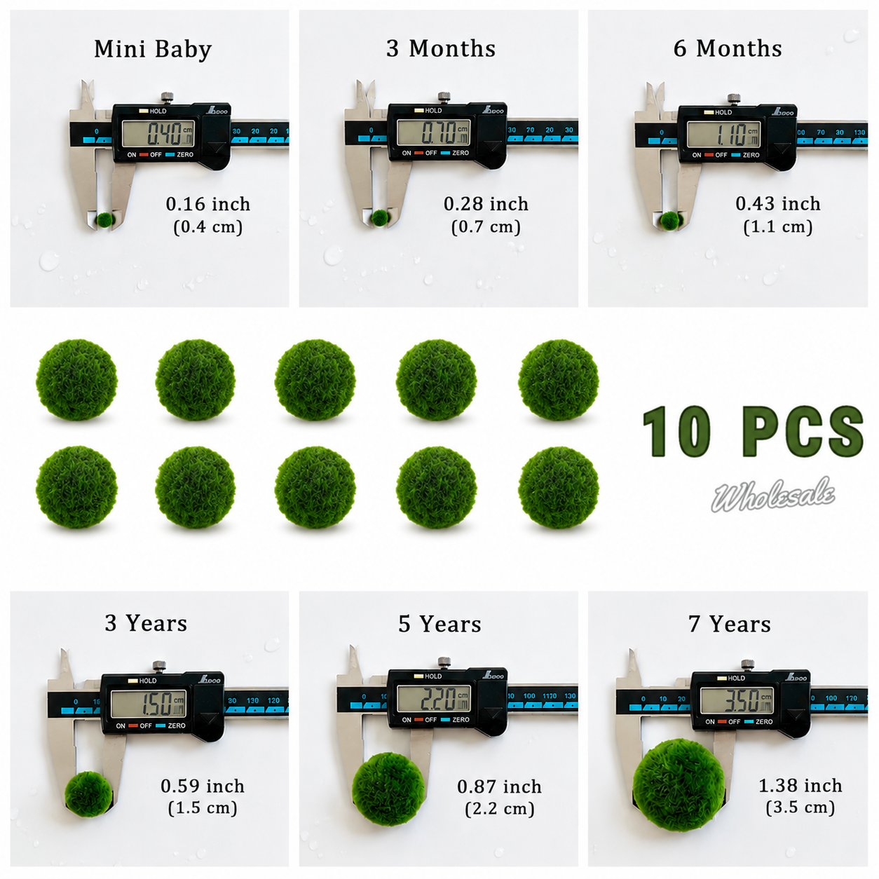 Marimo Moss Balls For Aquarium 3 Month 0.5-0.8cm Marimo Moss Balls: 5/10/20/50PCS Kokedama Japanese Algae Ball Wholesale