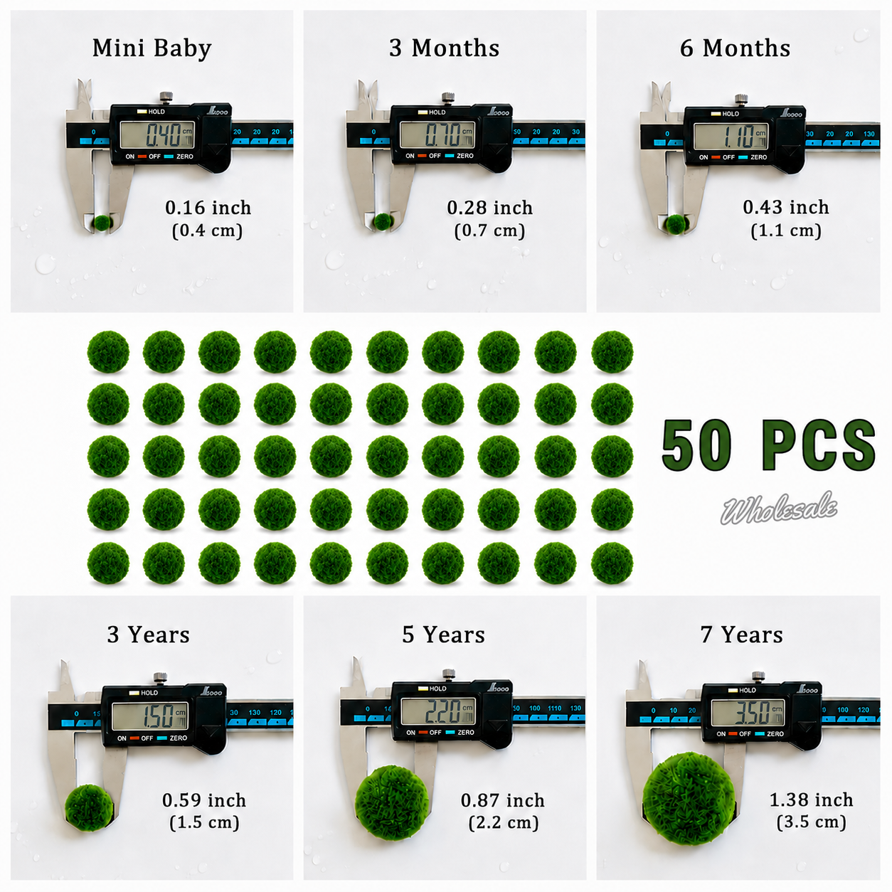 Live Moss Balls Mini Baby 0.3-0.5cm 5/10/20/50PCS Marimo Moss Balls Aqua Plant Pet Petco