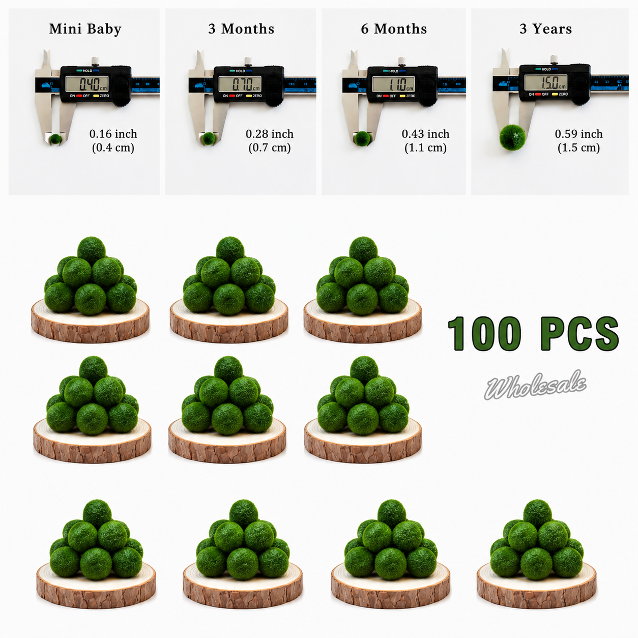 Marimo Moss Balls For Aquarium 3 Month 0.5-0.8cm Marimo Moss Balls: 5/10/20/50PCS Kokedama Japanese Algae Ball Wholesale