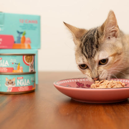 Chicken With Carrot Pumpkin Recipe Paté Dinner In Broth Adult Cat Food, 2.8-oz