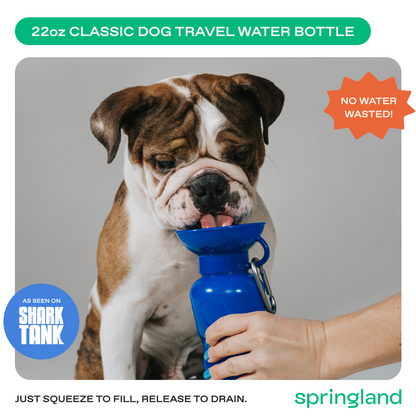 22oz Original Dog Travel Water Bottle