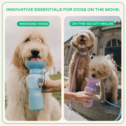 22oz Original Dog Travel Water Bottle