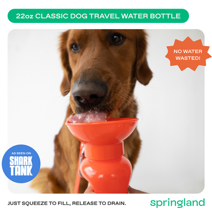 22oz Original Dog Travel Water Bottle