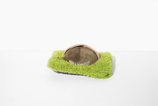 Hollywoof Nose Work Dog Toy