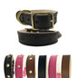Plain Leather Dog Collar