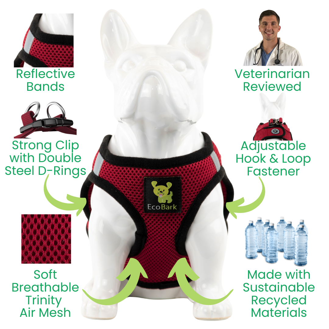 EcoBark Step In Dog Harness - XXXS to Medium Breeds- Reflective Soft Mesh Harness for Teacup, Small Dogs and Puppies / Burgundy