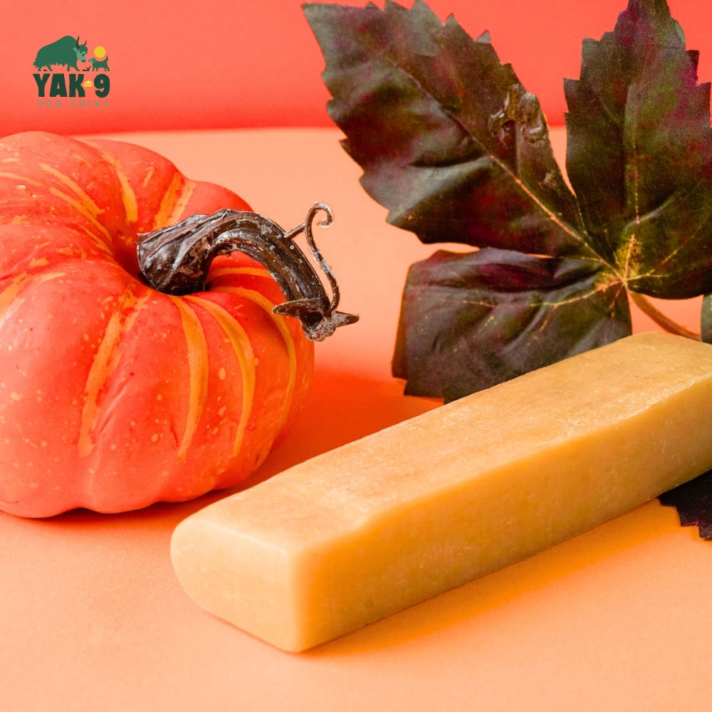 Pumpkin Cheese Chews for Dogs