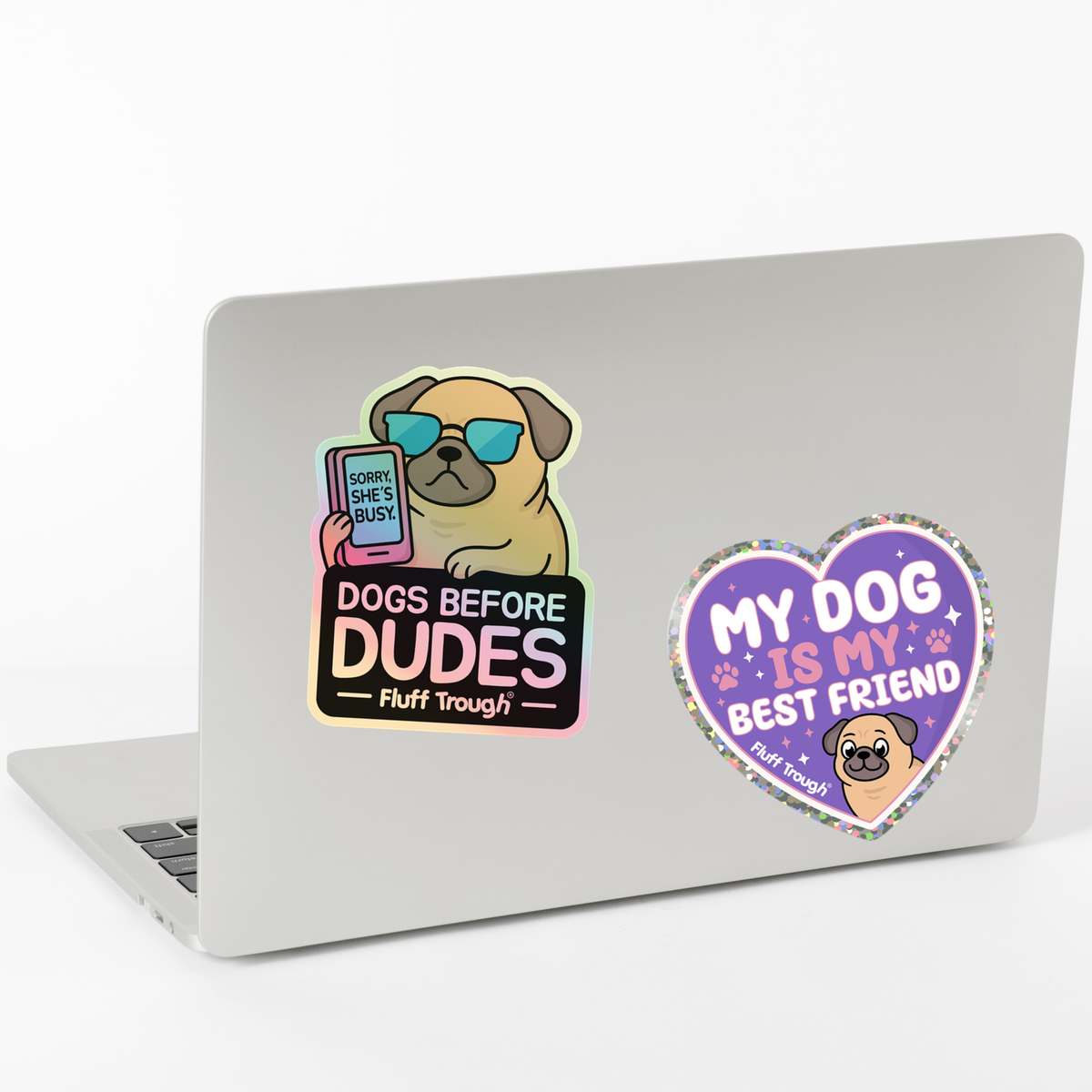 Dogs Before Dudes Holographic Sticker