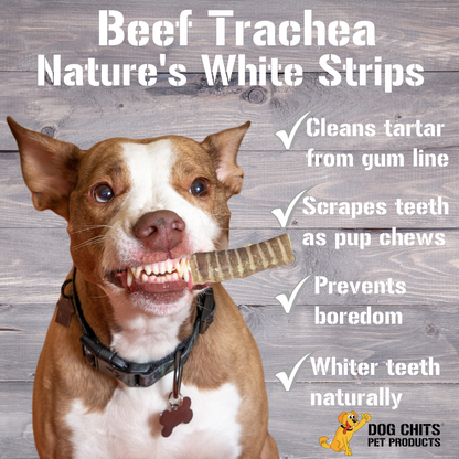 Beef Trachea Dog Treats - 1 lb. (3"-4" pieces)