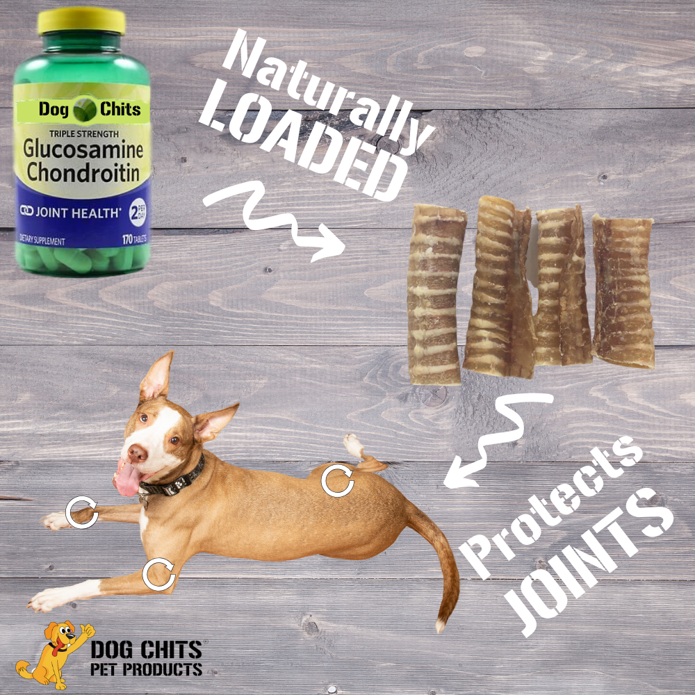 Beef Trachea Dog Treats - 1 lb. (3"-4" pieces)