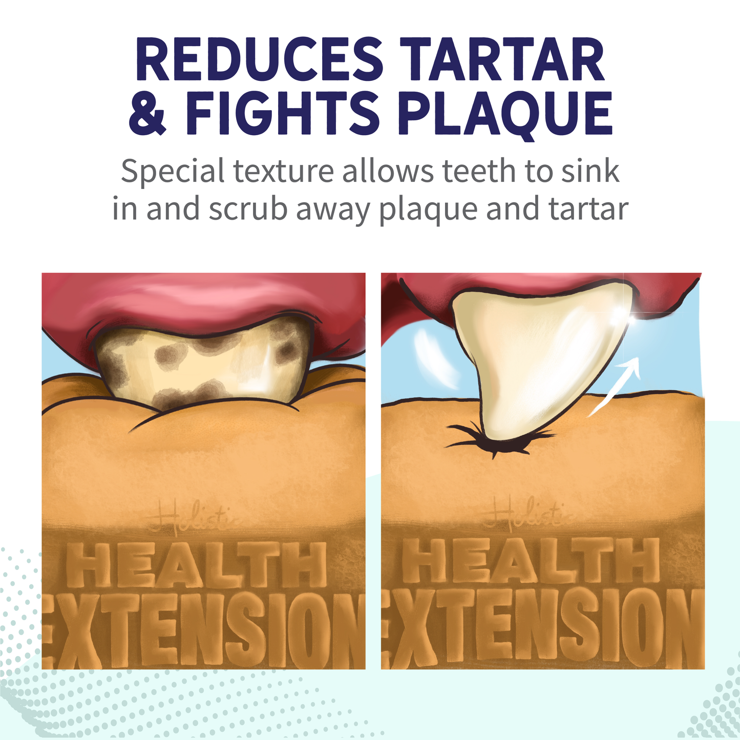 Fresh Breath Dental Bones