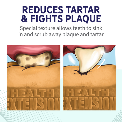 Fresh Breath Dental Bones