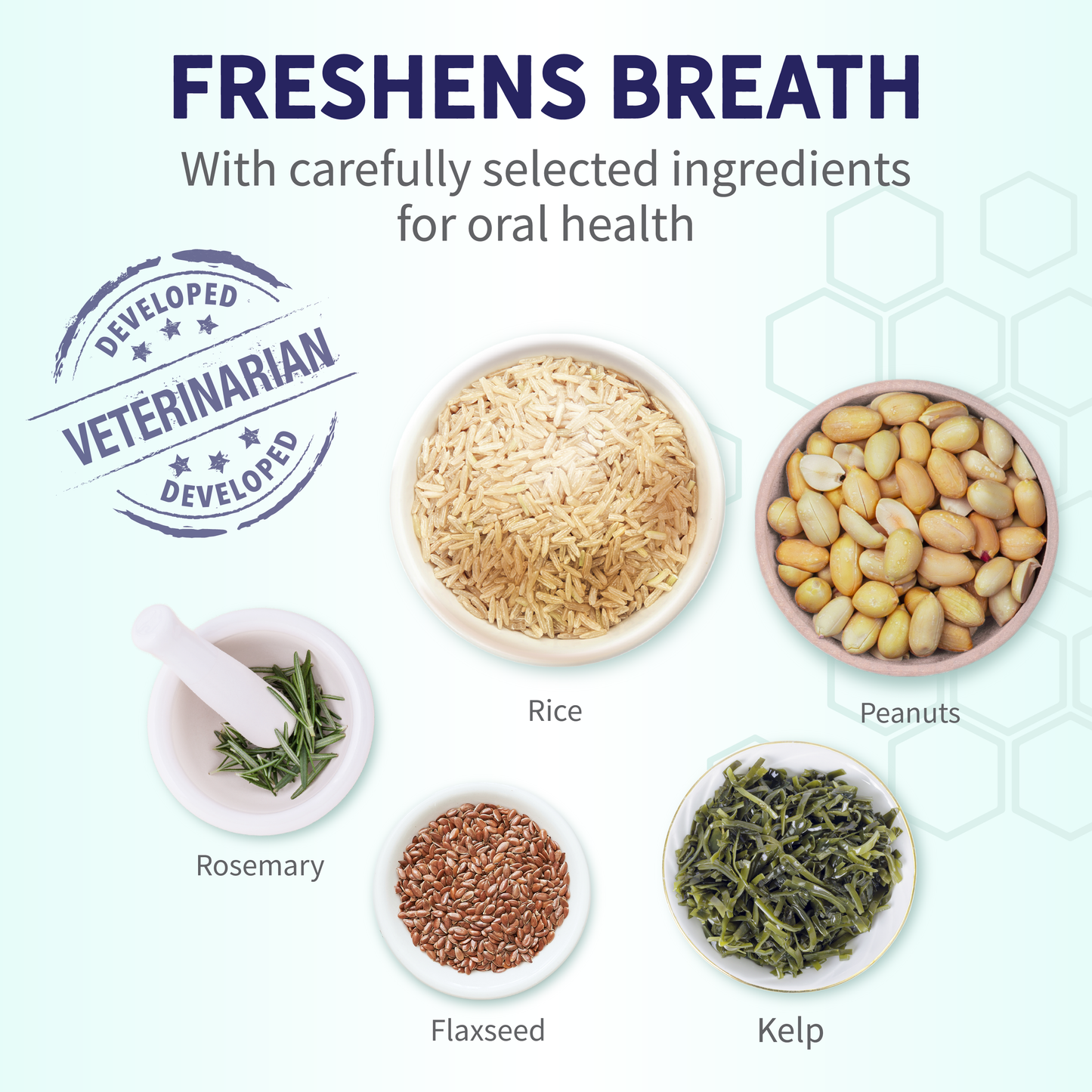 Peanut Butter Dental Bones