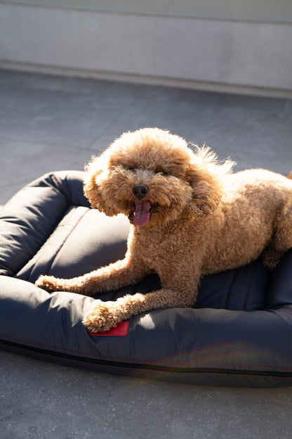 Waterproof Lounger Dog Bed Gray