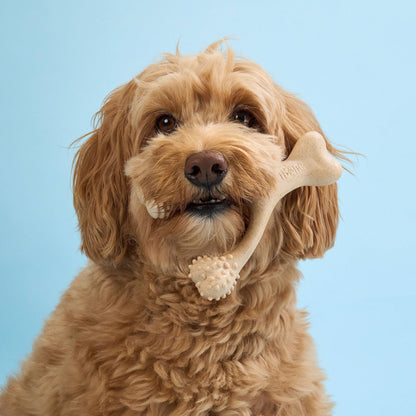 BetterBone SOFT Durability CHEW TOY: Natural Plant-Based Ingredients, Perfect for Teething Puppies, Senior Dogs & Gentle Chewers