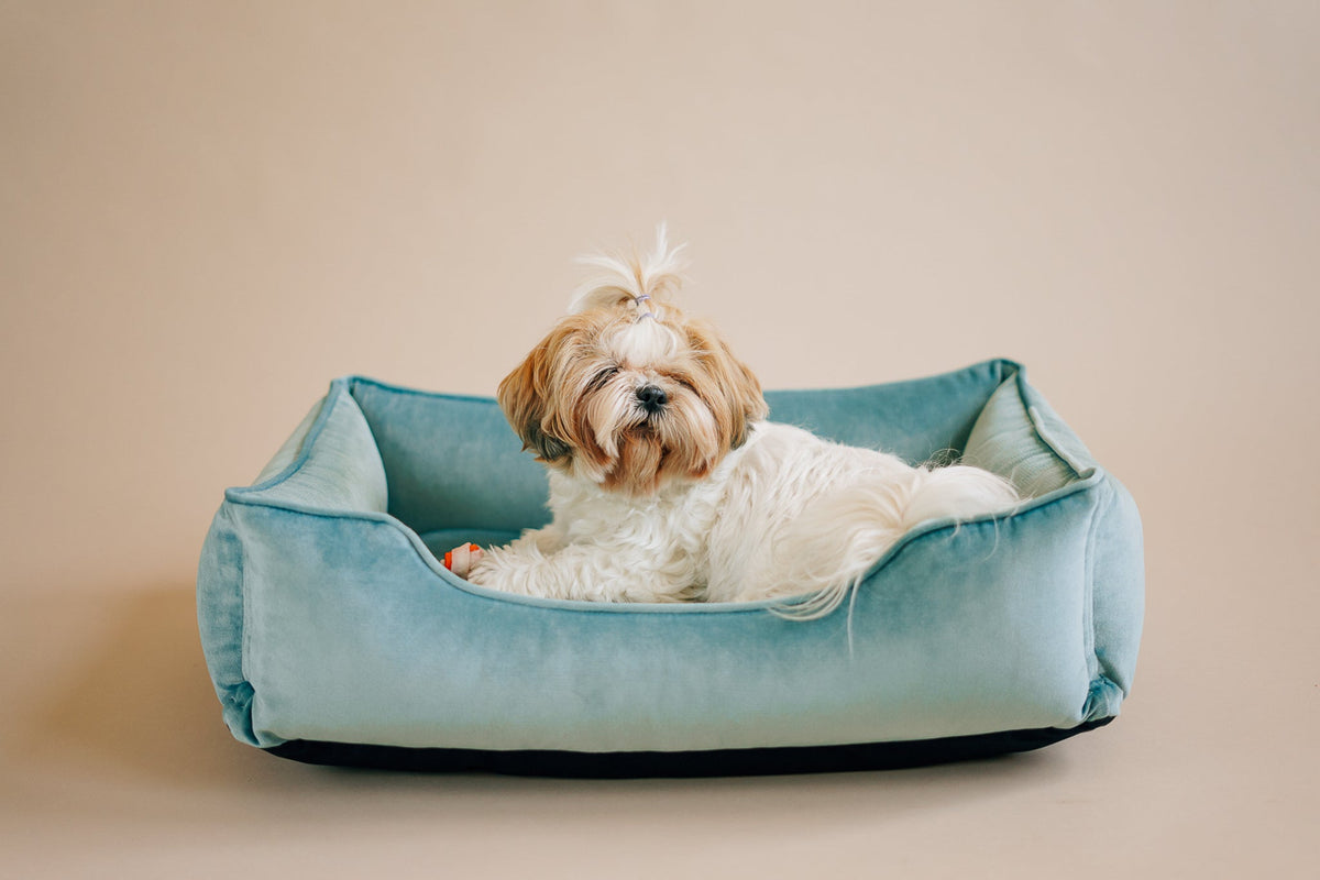 Vibrant Velvet Sleeper Dog Bed Tiffany