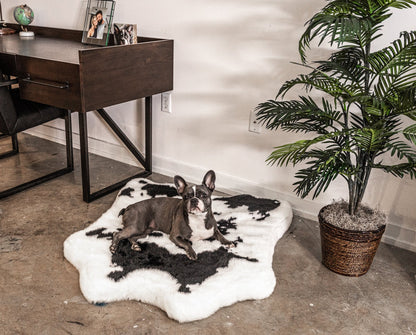 PupRug® Animal Print Memory Foam Dog Bed - Black Faux Cowhide