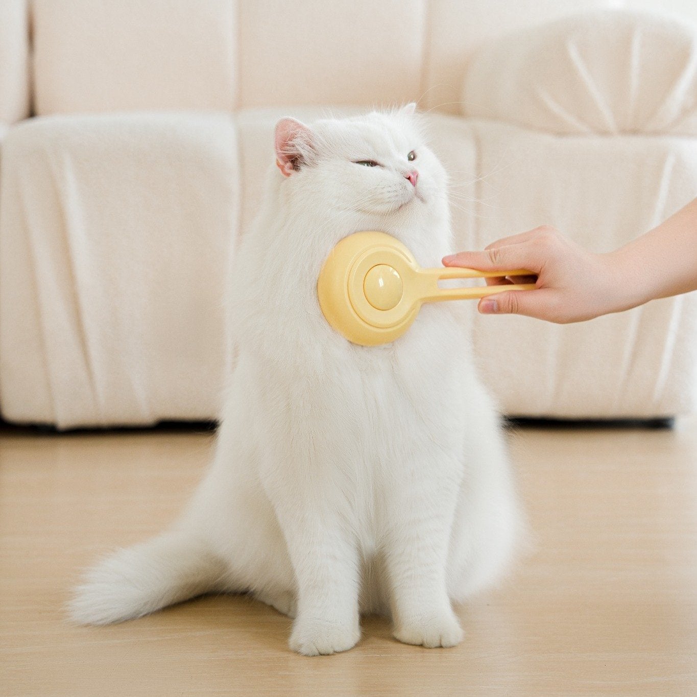 Cat Press Comb