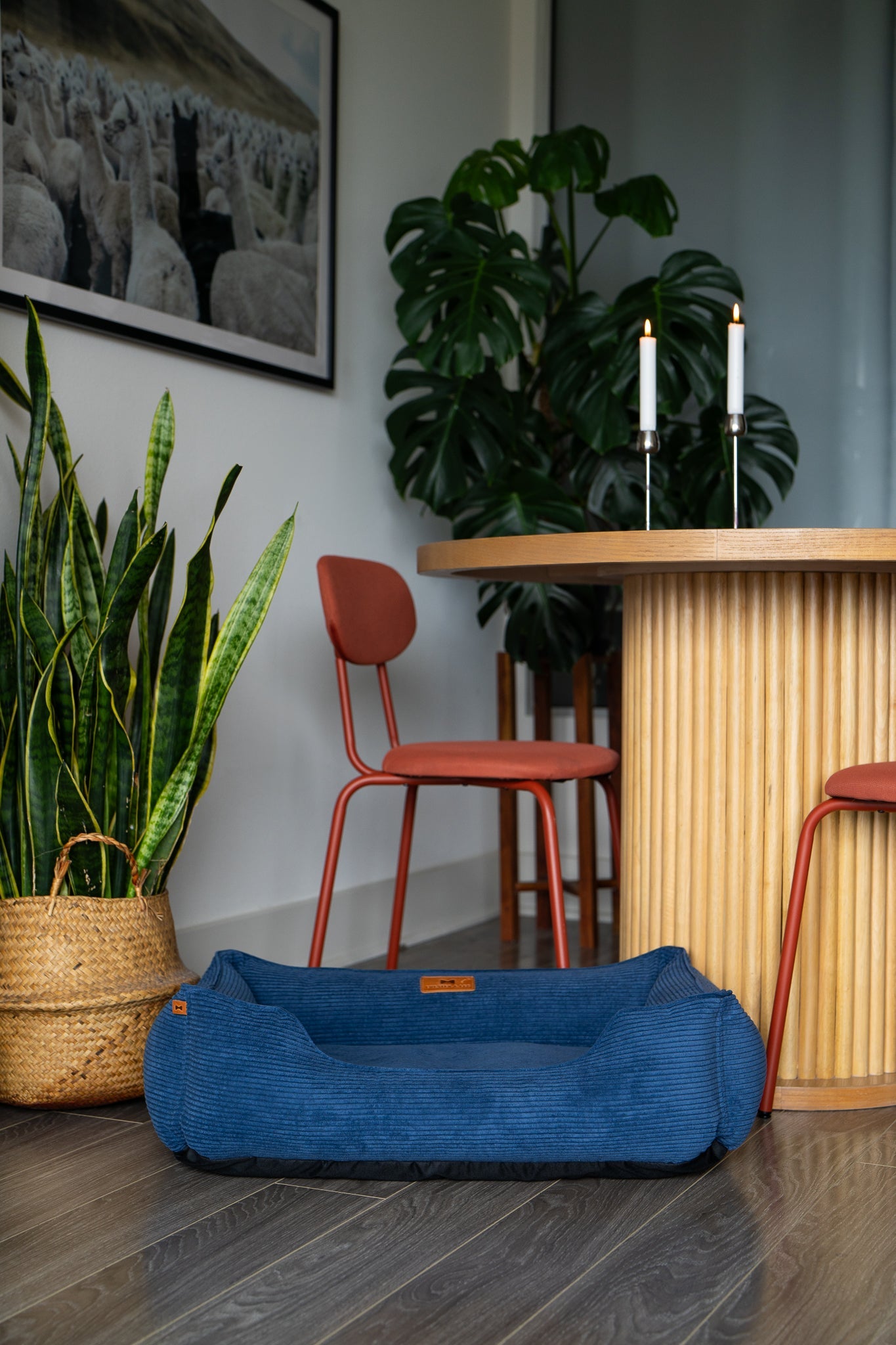 Fancy Corduroy Sleeper Dog Bed Blue