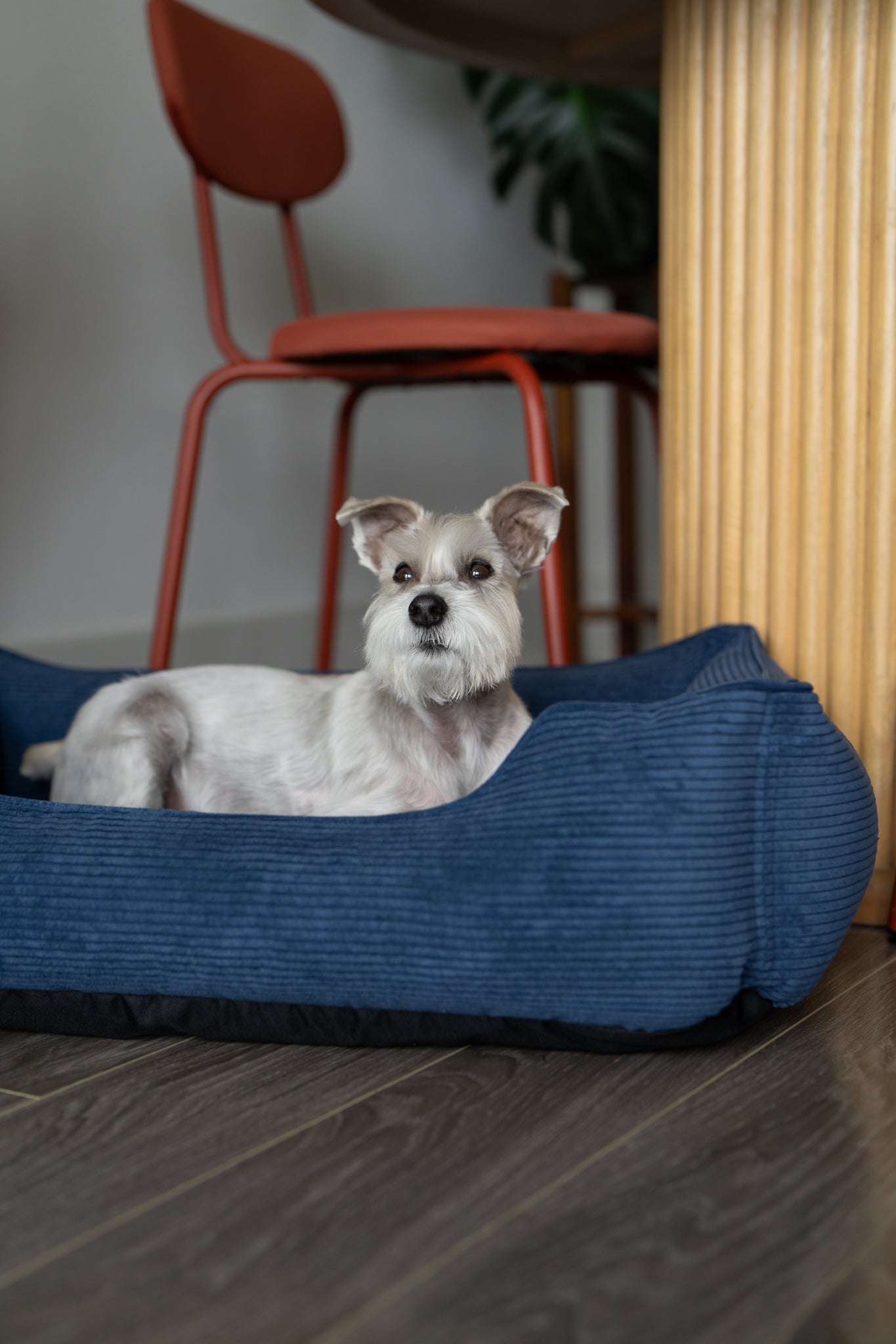 Fancy Corduroy Sleeper Dog Bed