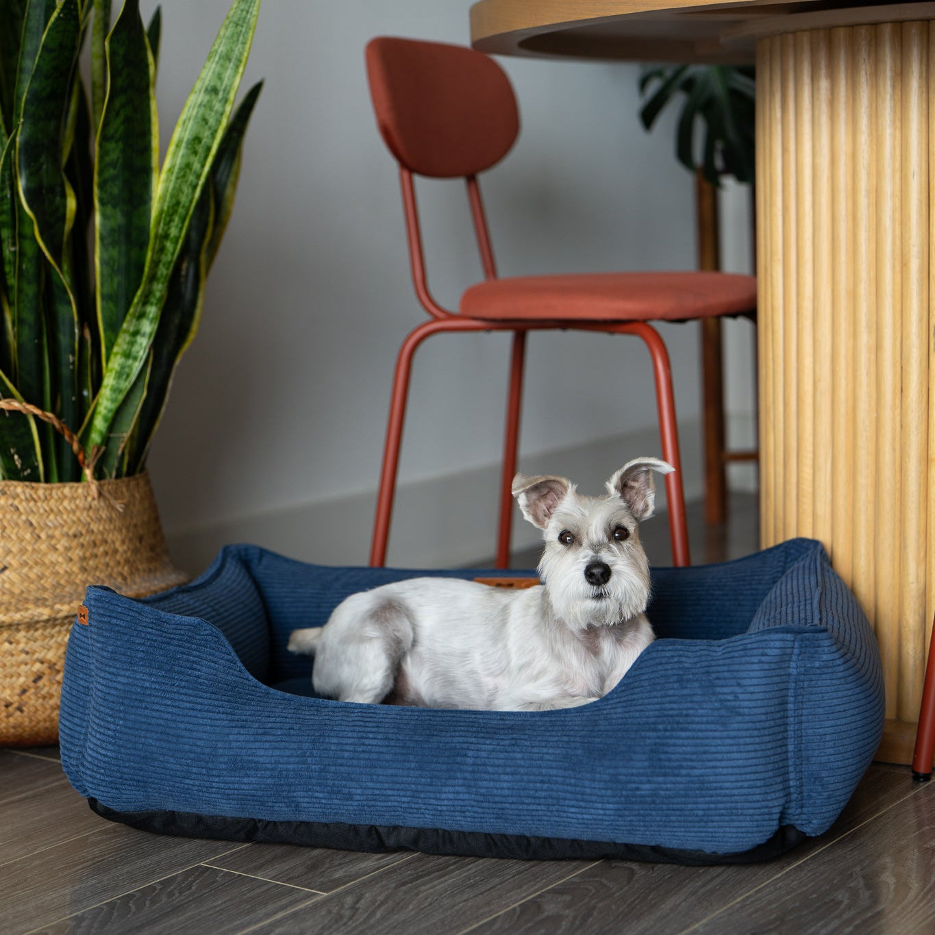 Fancy Corduroy Sleeper Dog Bed Blue