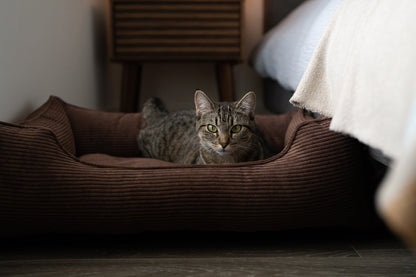 Fancy Corduroy Sleeper Dog Bed Brown