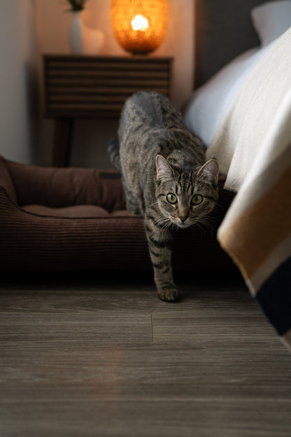 Fancy Corduroy Sleeper Dog Bed Brown