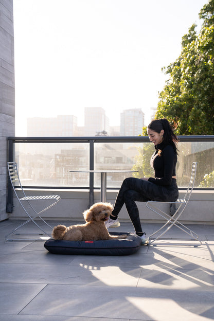 Waterproof Lounger Dog Bed Gray