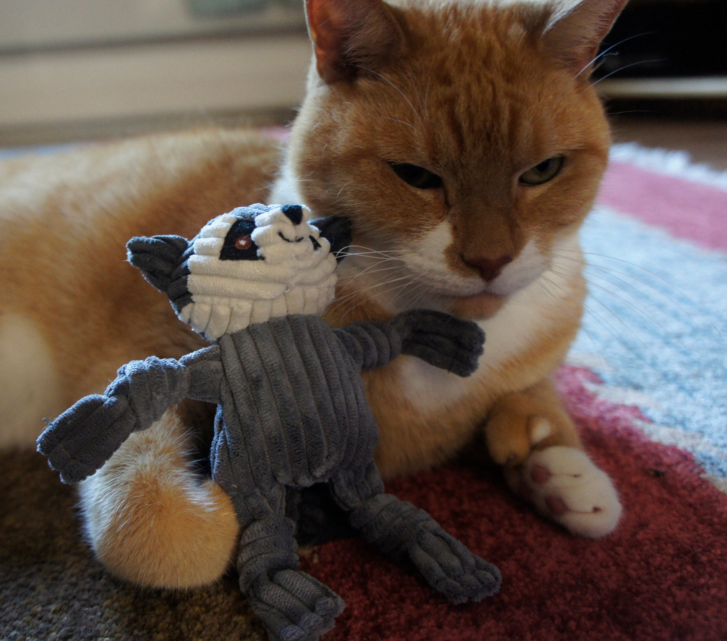 HuggleKats® Woodland Bucket of Cat Toys, 12 Pack