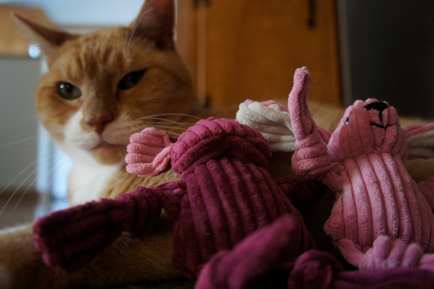 HuggleKats® Woodland Bucket of Cat Toys, 12 Pack