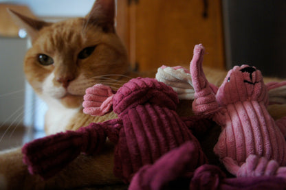 HuggleKats® Woodland Bucket of Cat Toys, 12 Pack