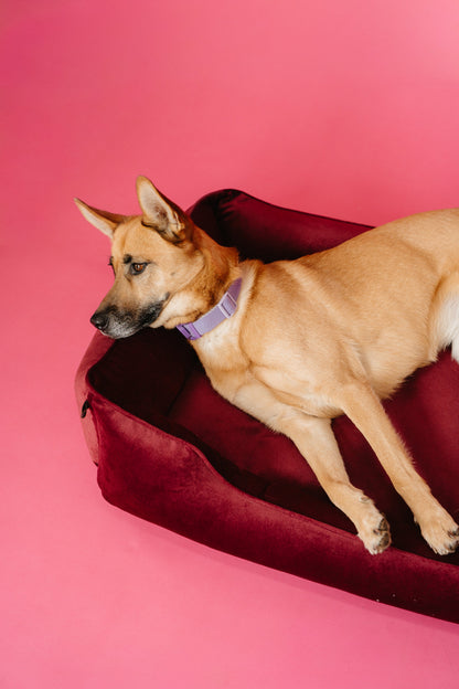 Vibrant Velvet Sleeper Dog Bed Wine