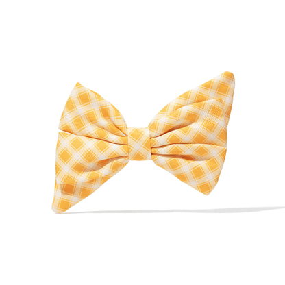 Daisy Dog Babe Bow
