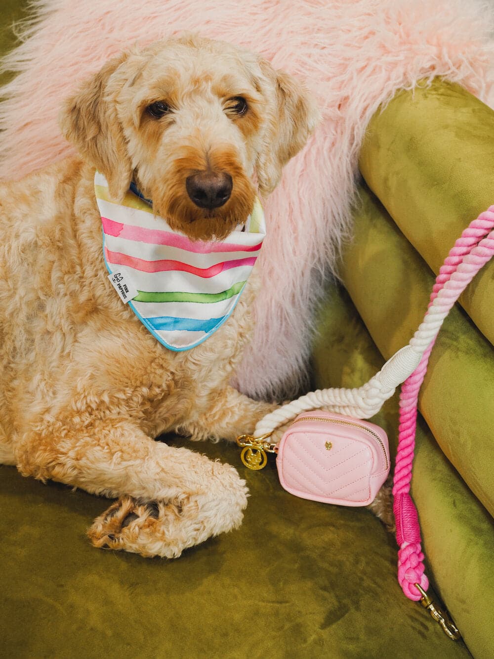 Delilah Dog Bandana