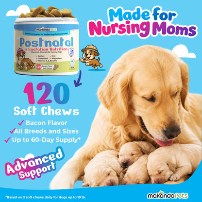Dog Postnatal & Lactation Nutrition | 120 Soft Chews