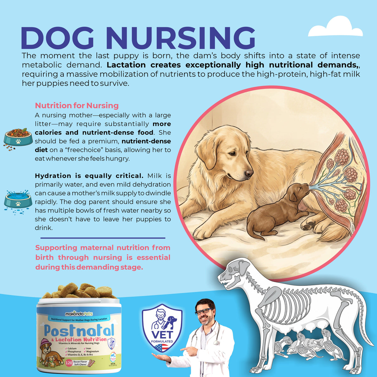 Dog Postnatal & Lactation Nutrition | 120 Soft Chews
