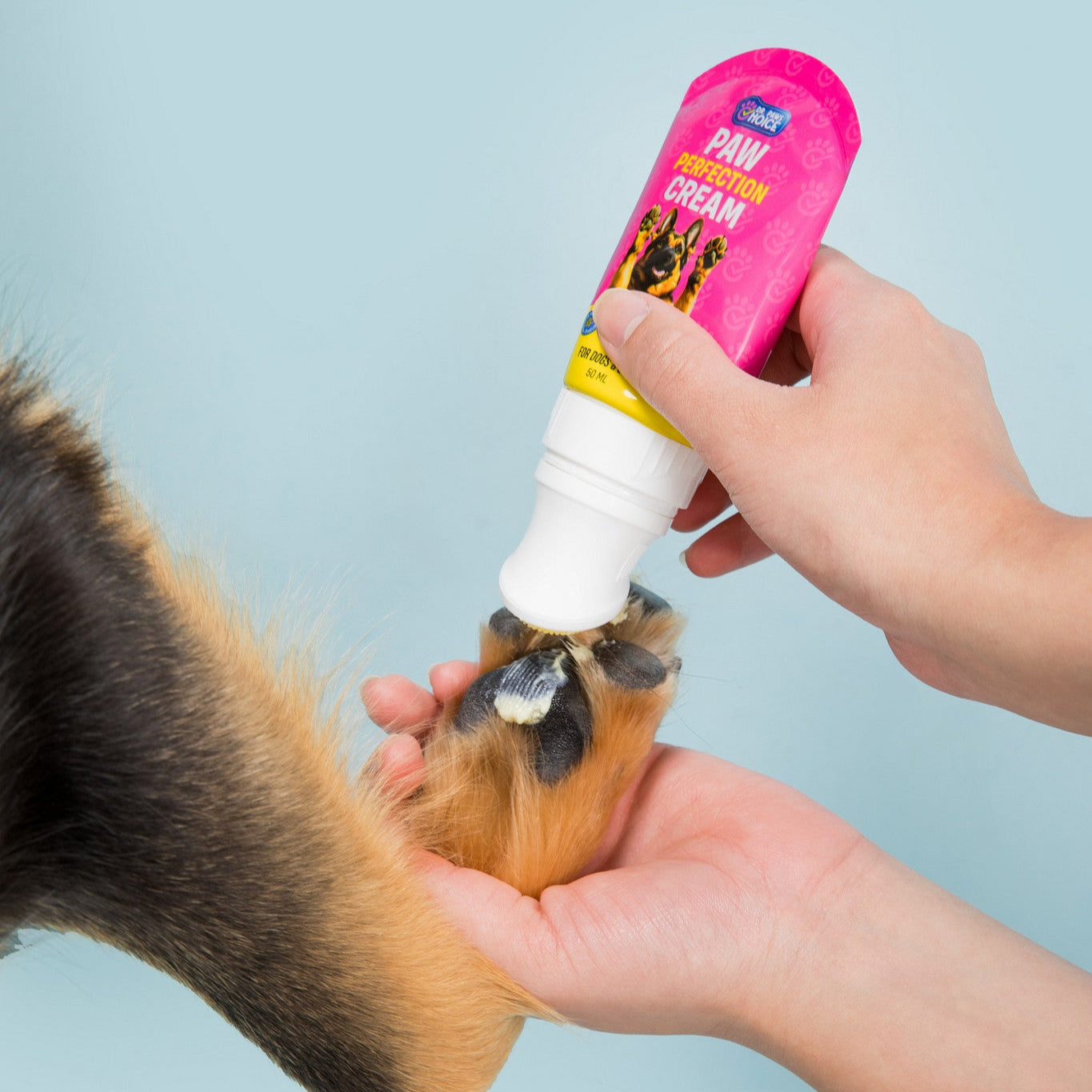 Head-to-Paw Glow Kit
