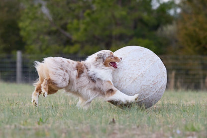 Better Sporting Dogs 25” Heavy Duty Sheep Lookalike Herding Ball for Dogs
