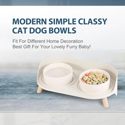 Elevated Ceramic Cat & Dog Bowl Set with Splash Guard, Non-Slip Stand (2x480ml)