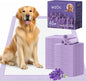 Extra Large Dog Pee Pads 28x34 Lavender Scent Leak Proof 8 Cup 40 Count