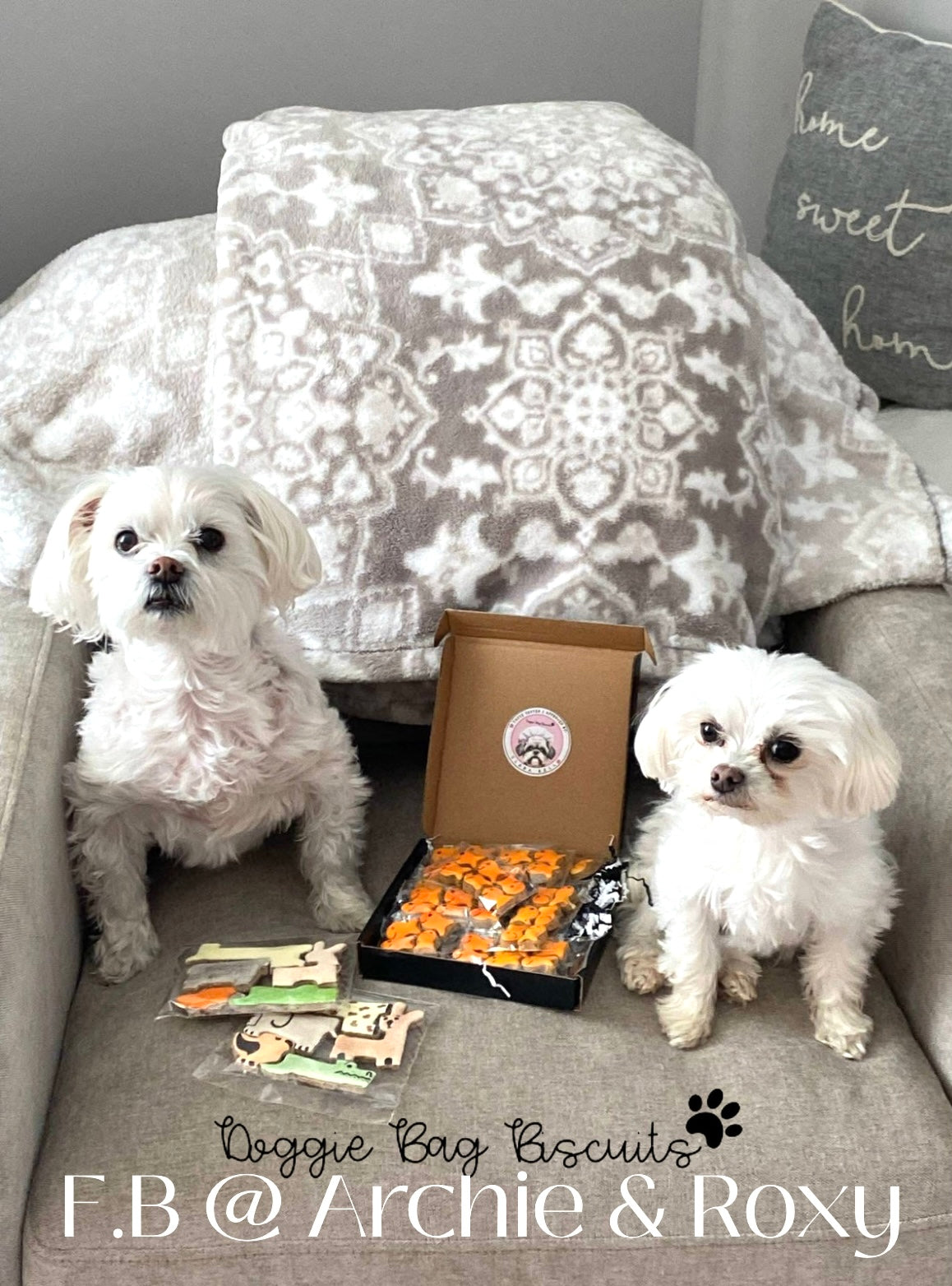 “GO FISH™” Gift Set — Certified Lookie-a-Tookie™ Canine Cookies, Bite-Size Dog Treats 🎣🐾