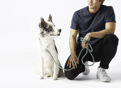 Magic Leash®
